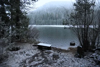 DSC_5830 (Large).JPG